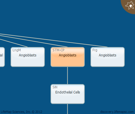 Angioblasts